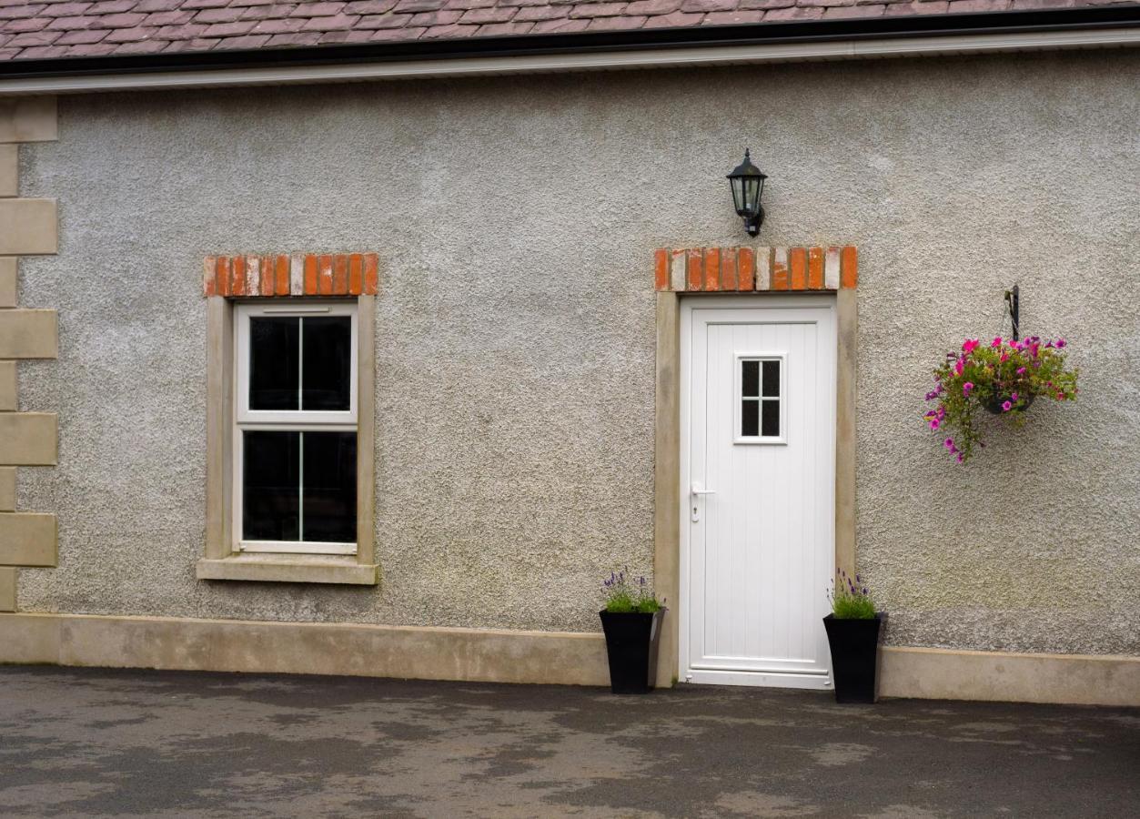 Mc Callstown House Apartment Ballyclare Exterior foto